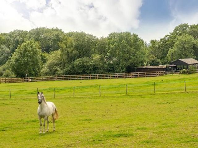 House for rent in Fole, Surrey