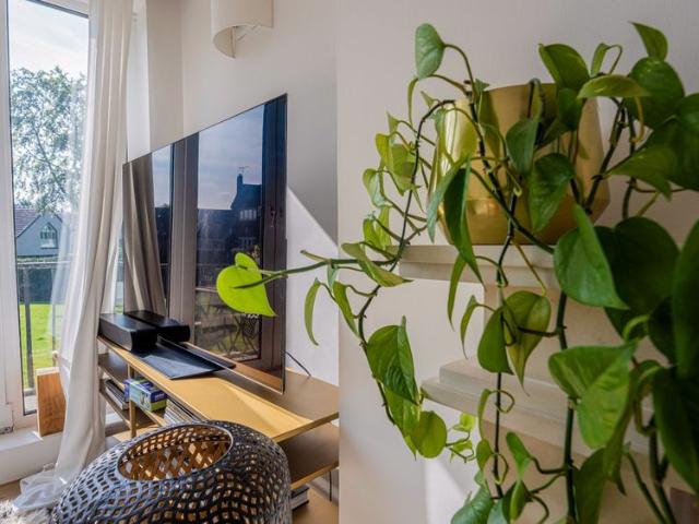 House for rent in Fulshaw Park, Wilmslow