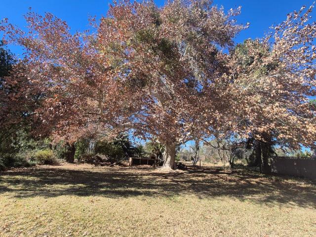 House for rent in Upington, Northern Cape