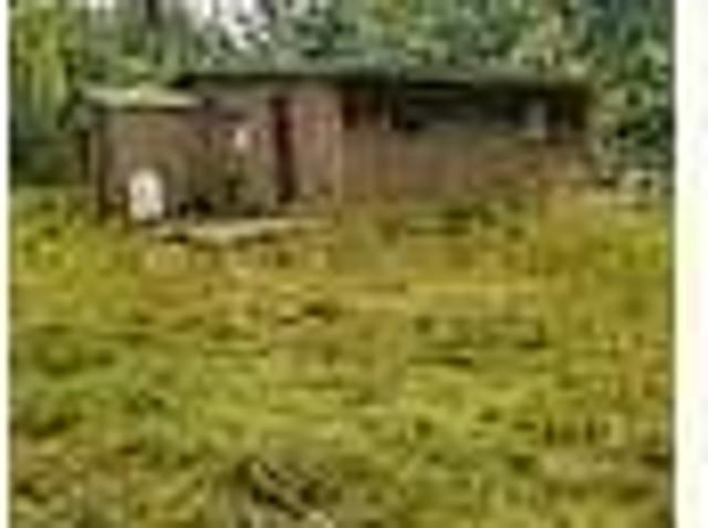 House for rent in Greenbush, Michigan