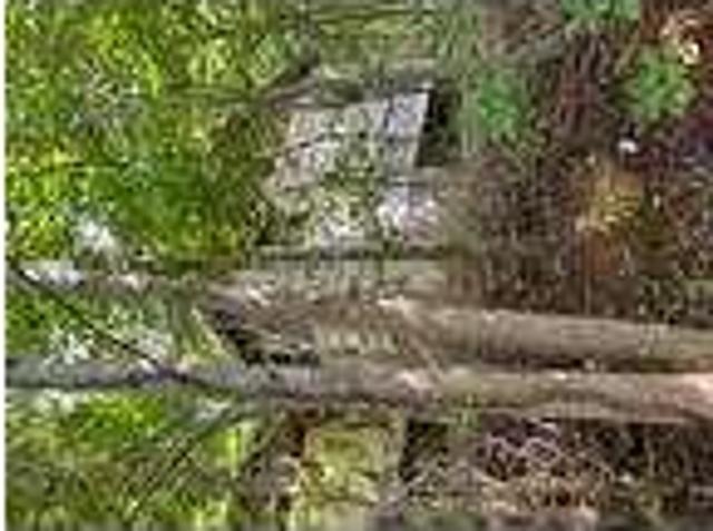 House for rent in Catawba, North Carolina