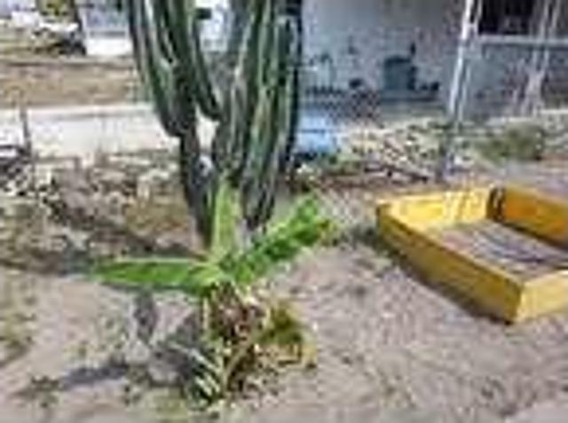 House for rent in Holiday, Florida