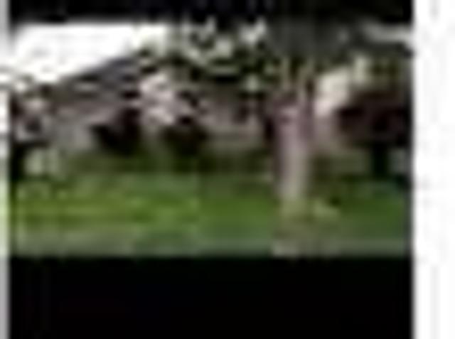 House for rent in Lake Jackson