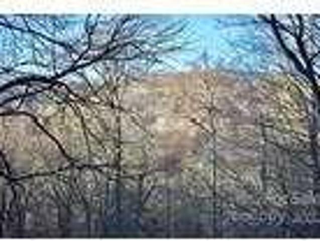House for rent in Mars Hill, North Carolina