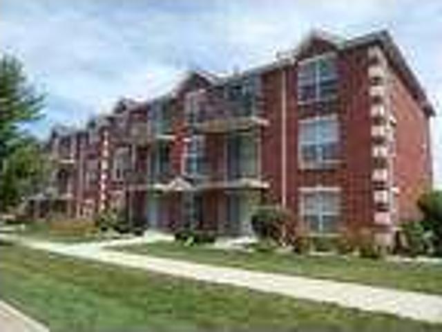 House for rent in Orland Park House for rent in Orland Park
