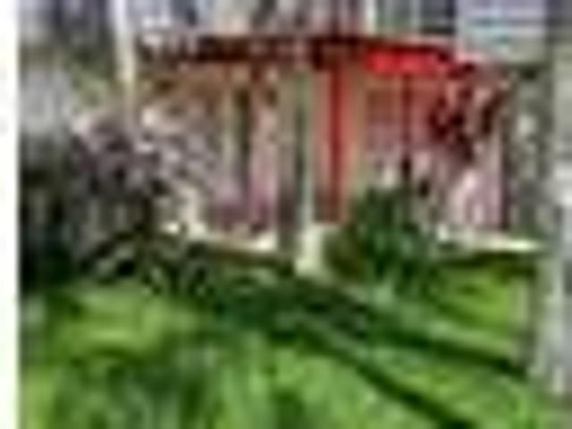 House for rent in Port Orange, Florida