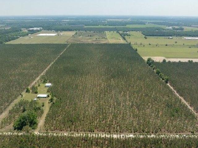 House for sale in Live Oak, Florida