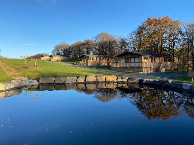 Cottage for sale in Llanidloes, Wales