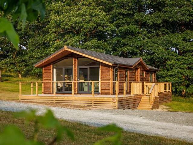 Cottage for sale in Llanidloes, Wales