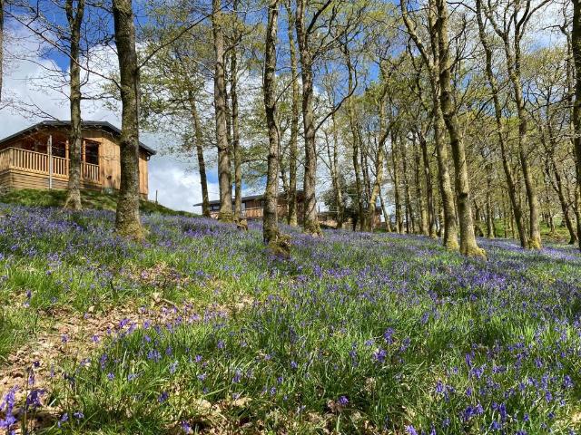 House for sale in Llanidloes, Wales
