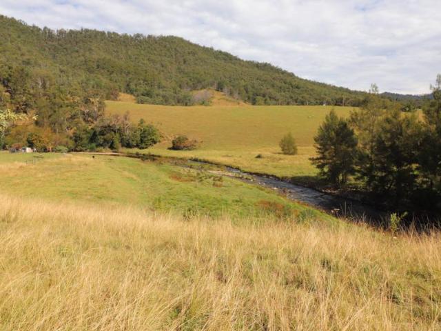 House for sale in Lower Creek, New South Wales