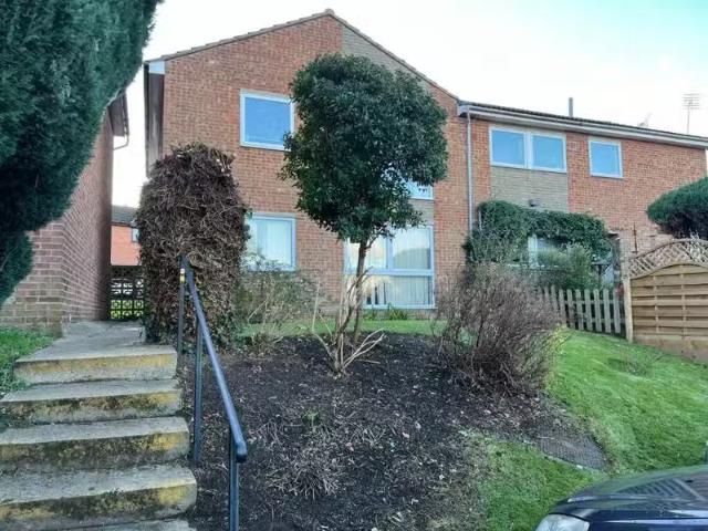 House for rent