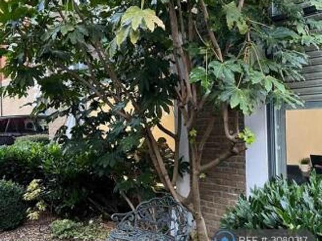 Maisonette for rent in Cat Hill, England