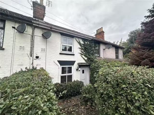 House for rent