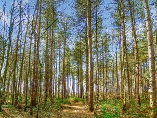 House for sale in East Sussex, England