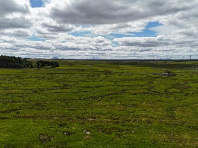 Land for sale in Watten, Scotland