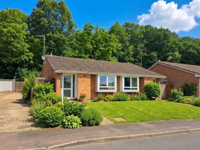 Farm for rent in St John's, Woking