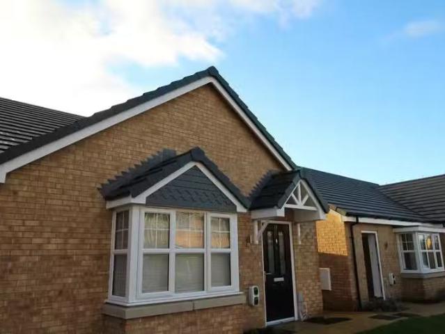 House for rent