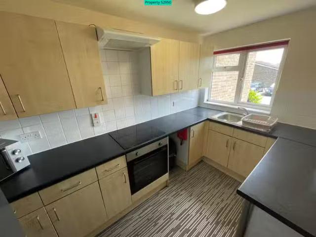 House for rent