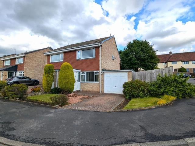 House for sale in Pelton Lane Ends, Pelton