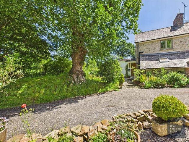 House for sale in Brandis Corner, Devon