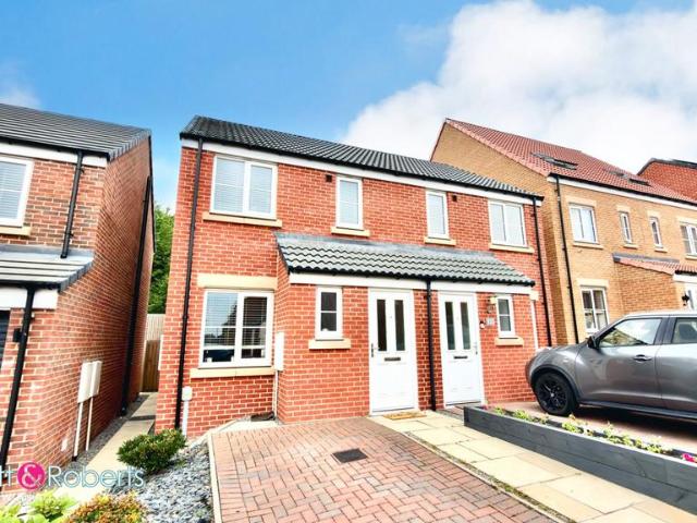 House for sale in Burnside, Tyne And Wear