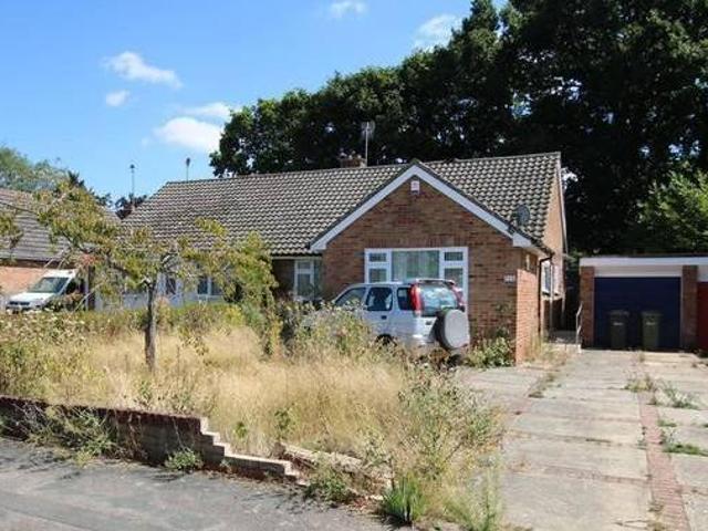 House for rent