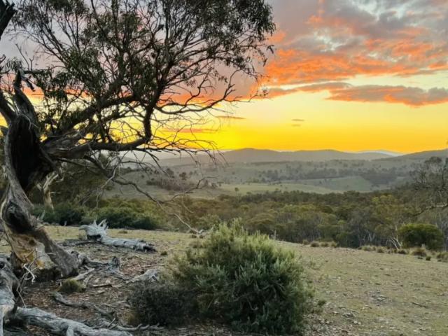 House for sale in Shannons Flat, New South Wales