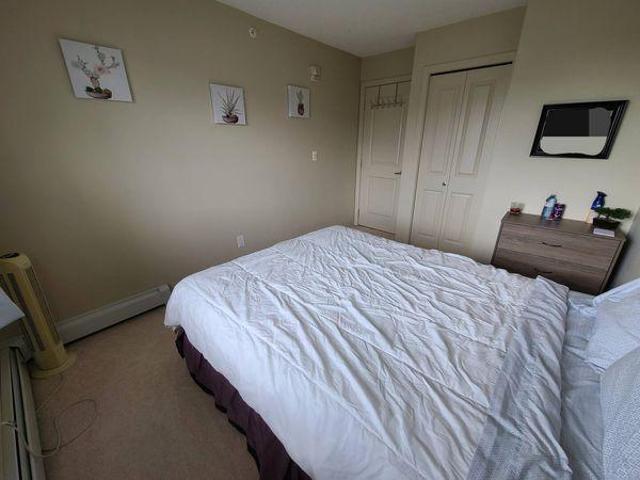 Room for rent in Wedgewood, Alberta