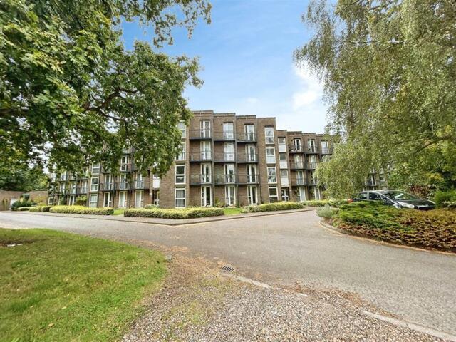 Room for sale in Elvington, Ash