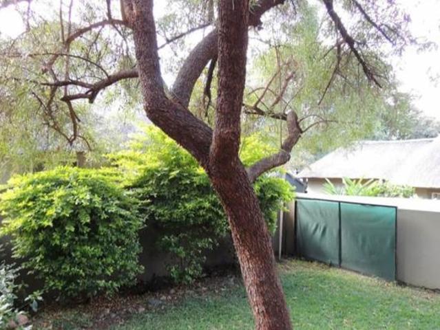 House for sale in Naboomspruit, Limpopo
