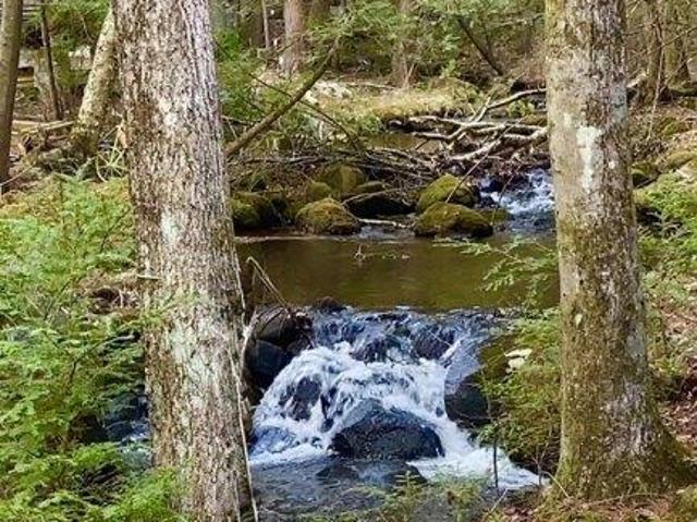 Condo for sale in Stafford, Connecticut