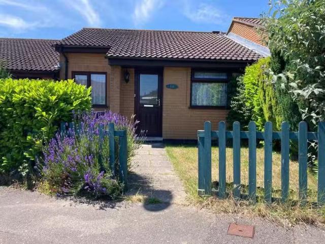House for rent