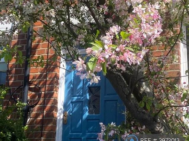 House for rent in New Catton, East Bank