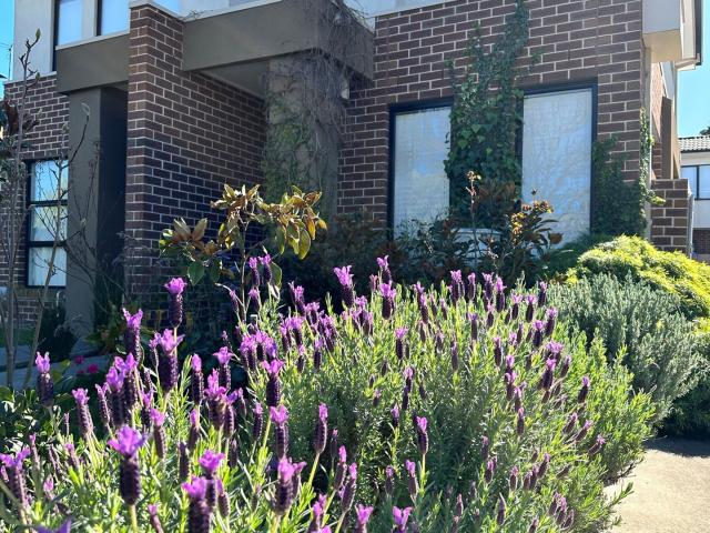 House for rent in Lalor, Victoria