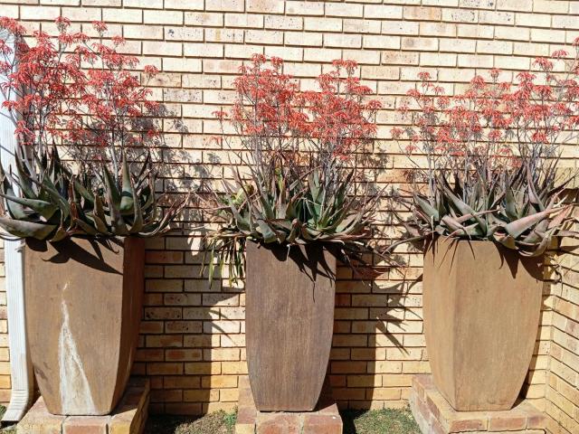 Townhouse for sale in Centurion, Gauteng