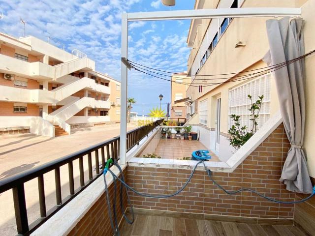 Casa en alquiler en Mil Palmeras, el Baix Segura / La Vega Baja