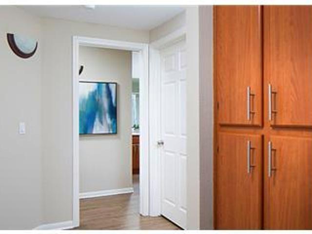 House for rent in Carlsbad, California