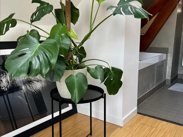 Appartement te huur in Charlois, Rotterdam