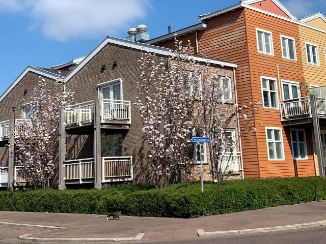 Appartement te huur in Hillegersberg-Schiebroek, Rotterdam