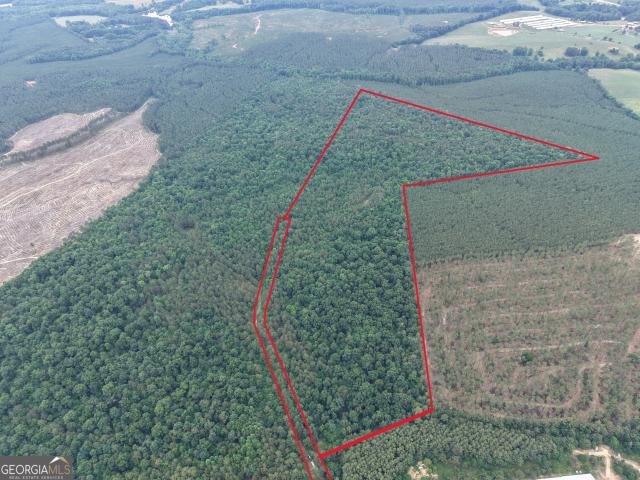 Land for sale in Carlton, Georgia
