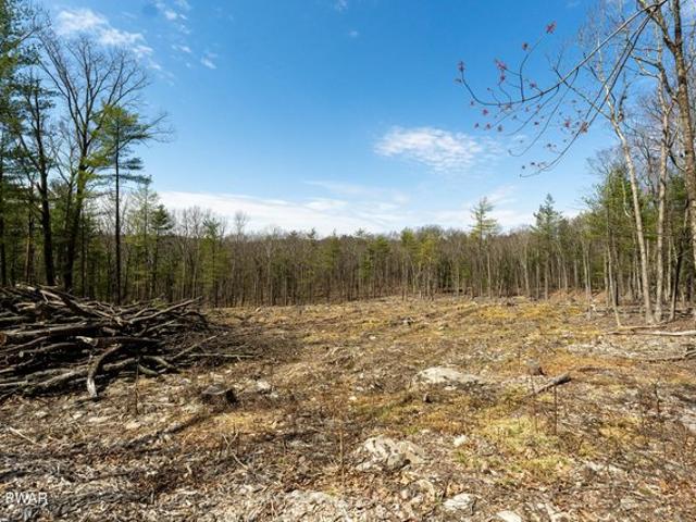 Land for sale in Lakeville, Pennsylvania