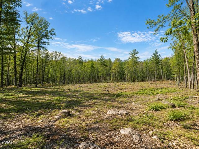 Land for sale in Lakeville, Pennsylvania