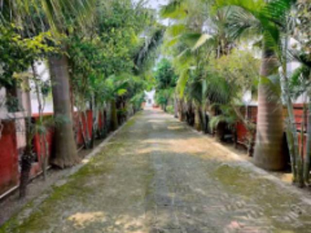 Property for rent in Lakhana, Arunachal Pradesh