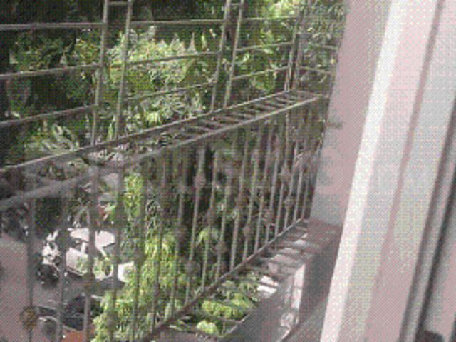 Flat for rent in Park Circus, Kolkata
