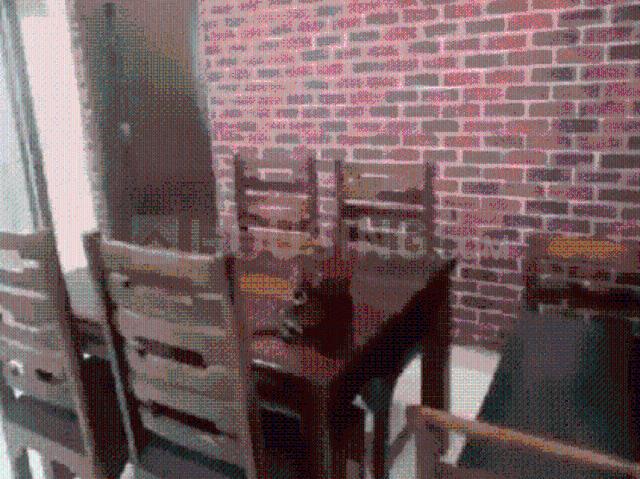 Flat for rent in Madya