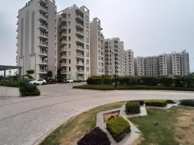 Flat for rent in Punjab