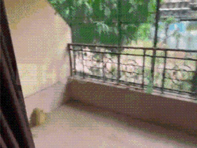 Flat for rent in Kalyan-dombivali, Gopalnagar