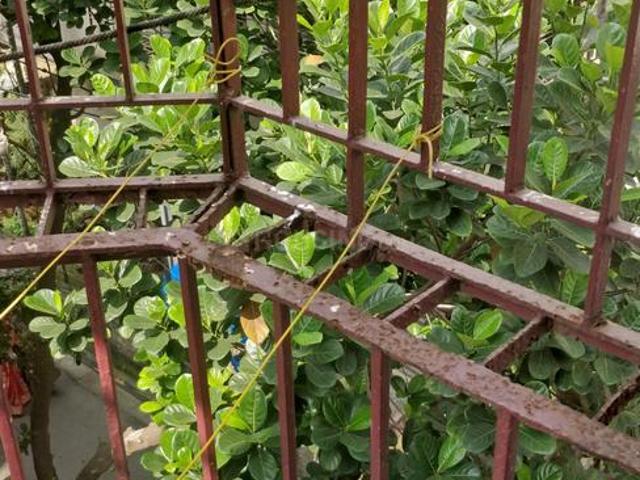 Flat for rent in Calcutta, West Bengal