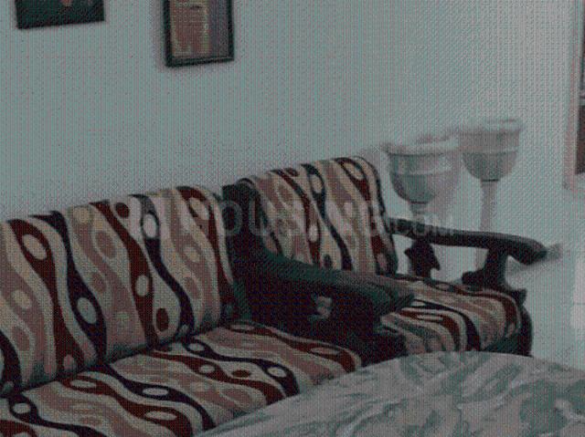 Flat for rent in Gujarat